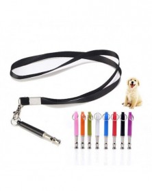 Multicolor Dog Accessories...